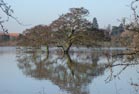 Floods near Sutton Courtenay, January 2003