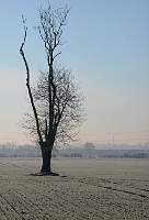 030112-1104-036.jpg