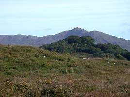 20040924-1034-052.jpg